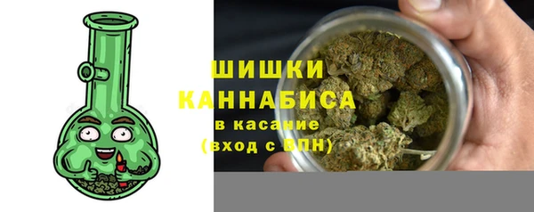 сатива Верхний Тагил