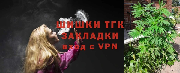 сатива Верхний Тагил