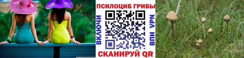 Галлюциногенные грибы мухоморы  Купить где  Углегорск 